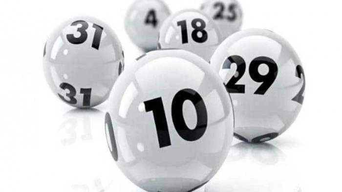 Khám Phá Đá Gà 88: Xu Hướng Mới Trong Giải Trí Và Đầu Tư